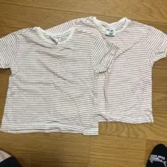 ZARA ストライプ Tシャツ 12-18ヶ月 2枚セット