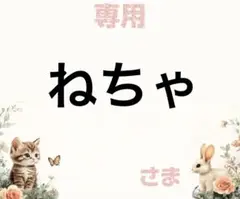 専用