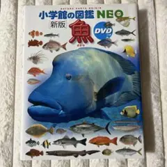 Item thumbnail for item ca2a2dec-c233-4e5d-acf2-d9bac2185b1b