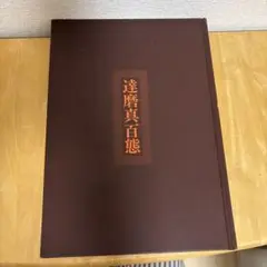 達磨真白懐