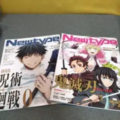 月刊ニュータイプ 2冊