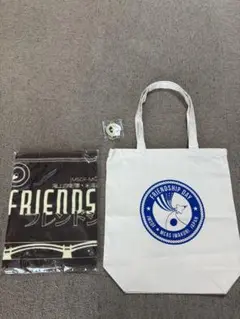 岩国　FRIENDS フレンドシップデイ 有料観覧席記念グッズ　2025