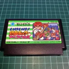 起動確認済み ファミコン 熱血ホッケー部