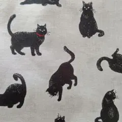 グレー赤い首輪の黒猫　全幅×５０センチ