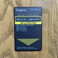 2025年最新】Roland U-110の人気アイテム - メルカリ