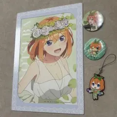五等分の花嫁 中野四葉セット