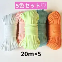 夜光　パラコード　20m×5 お買い得　キャンプ　ハンドメイド　テントロープ