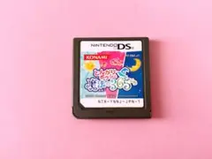 【DSソフト】とんがりボウシと魔法の365にち