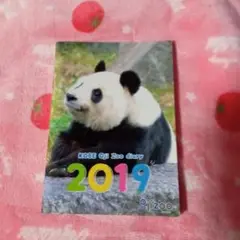 KOBE Oji Zoo diary 2019