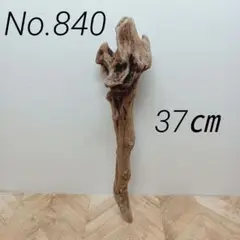 アク抜き済み流木【840】❁スーパーセール❁