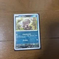 ウパー10枚セット