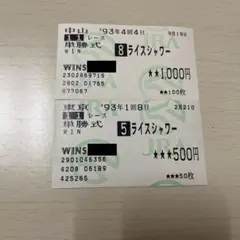 1995年 第88回 京都記念 ライスシャワー、1着馬ワコーチカコ他単勝馬券 ワコーチカコ 1995年(平成7年)第88回京都記念(G2) - YouTube