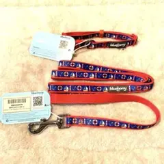 Item thumbnail for item d6e14658-8b90-4552-b2bb-2c8dcf1176b3