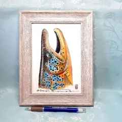 ブラウントラウトの透明水彩画