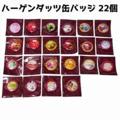 ハーゲンダッツ 缶バッジ 缶バッチ 22点セット