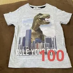 100 Tシャツ　恐竜