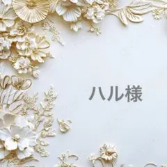 ハル様ポケットティッシュケース
