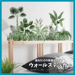 ウォールステッカー 2枚 植物 ボタニカル 自然 緑 壁紙 模様替え DIY