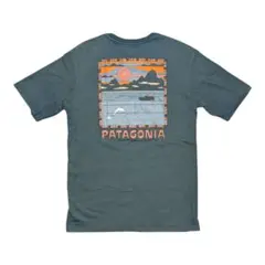 Patagonia プリントTシャツ Sサイズ