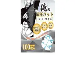 NOSTEEZ 俺の脇汗パッド BIGサイズ わきあせパット