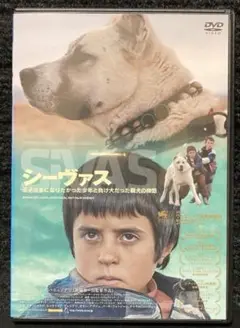 『シーヴァス 王子さまになりたかった少年と負け犬だった闘犬の物語』