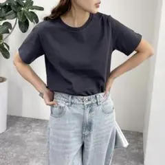 FRワッペンBASIC Tシャツ