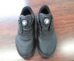 【エコー：サイズ42】ecco LT1 BLK