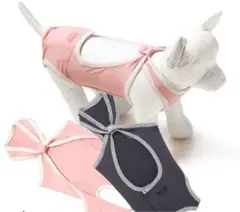 犬用術後ガードスーツ 2号サイズ