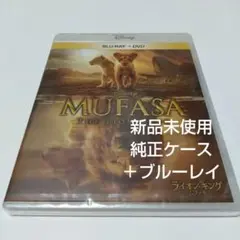 Item thumbnail for item f0a96977-3774-427b-9cc2-32b4828c070b