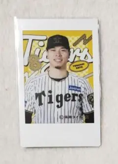 阪神タイガース☆佐藤輝明☆プリントチェキ☆ラッフル☆くじ☆D賞☆新品