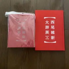西尾維新 大辞展 パンフレット