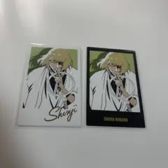 BLEACH WORLD 平子真子　インスタントフォト風シートコレクション