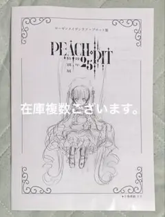 PEACH-PIT展 第3週入場特典 「ローゼンメイデン」全16P小冊子 真紅