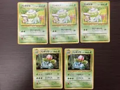 【旧裏】フシギダネ ● 第1弾拡張パック、フシギソウ◆ セット
