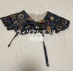 Item thumbnail for item 30a69ade-a575-476a-917a-02c80d7edf3b