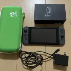 Nintendo Switch 本体 グレー ケース 充電器 ドック セット