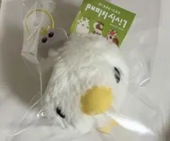 【新品未開封】リヴリーアイランド ケマリ BIGぬいぐるみ ケマリBIGぬいぐるみ - メルカリ