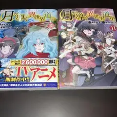 月が導く異世界道中 10 11