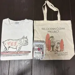 エンドレスサマー　tes tシャツ M キーホルダー、バッグ付き！