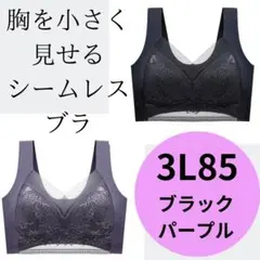 胸を小さく見せるブラ　夏　シームレスブラ　ナイトブラ　脇スッキリ　3L寒色2枚