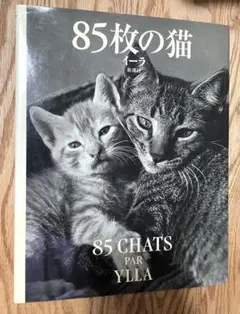 85枚の猫　イーラ