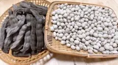 ムクナ豆 500グラム٩(๑❛ᴗ❛๑)۶