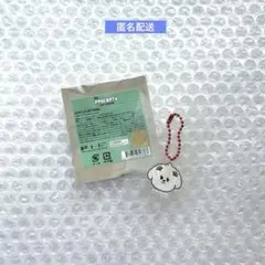 TXT バムグッ アクキー