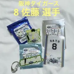 オールスターゲーム バッジ キーホルダー クリアカード 佐藤 選手 3点セット