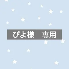 専用ページ