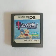 激レアNintendoDS キミの勇者 特典付き星刻の書