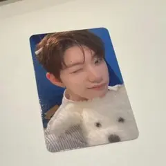 クルユア　hellolive トレカ　犬　ギョンベ