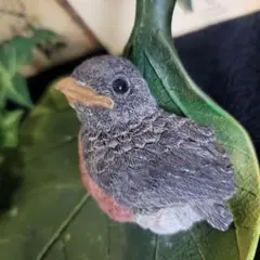 小鳥の雛の置物