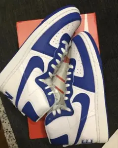 新品未使用　タグ付　NIKE 青　ターミネーター　High 28