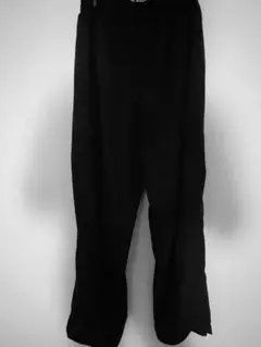 Balenciaga track suit pants 2020AW